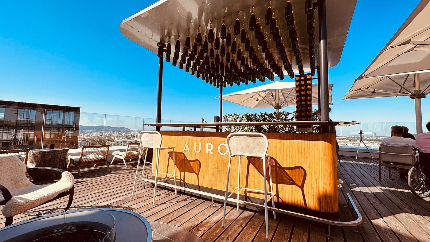 Vienna’s Best Rooftop Bars: Sip with a View